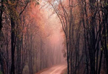 2025火狐体育直播VJ-埃奇库姆选秀模版是谁？答案：拉塞尔-威斯布鲁克