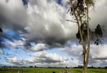 2025火狐体育新闻虽迟但到!三亚文旅删除徐杰宣传视频 今夏深陷出轨堕胎赌球丑闻