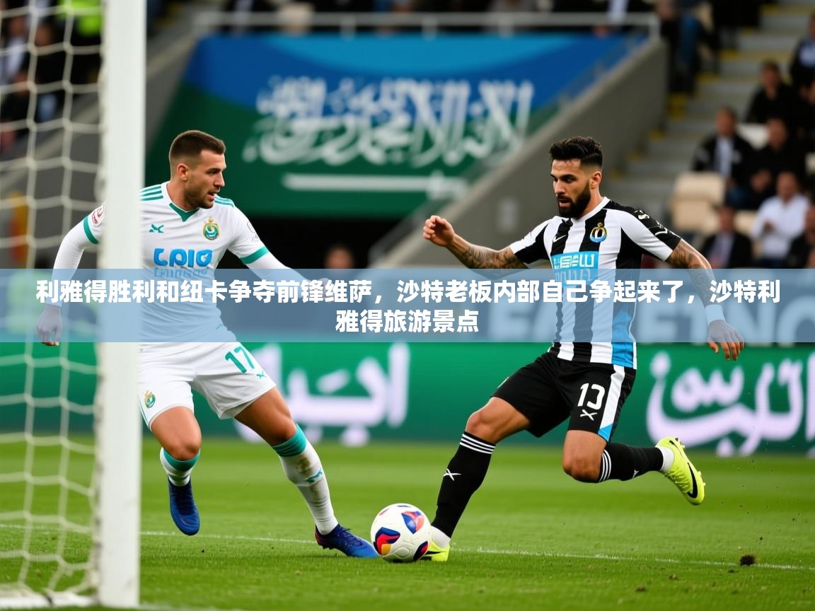 2025火狐体育网页版利雅得胜利和纽卡争夺前锋维萨，沙特老板内部自己争起来了，沙特利雅得旅游景点