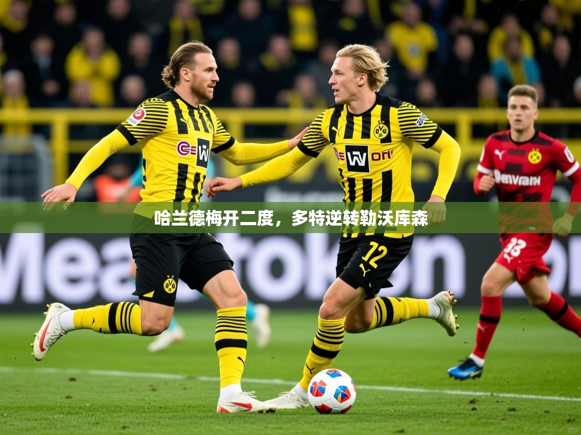 2026火狐体育app哈兰德梅开二度,多特逆转勒沃库森 第2张