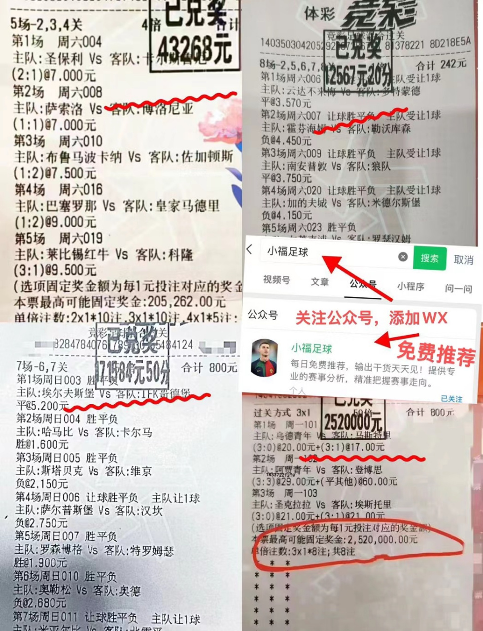 霍芬海姆客场击败多特蒙德，上升积分榜的简单介绍